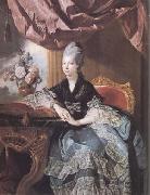 Johann Zoffany Queen Charlotte (mk25) oil painting on canvas